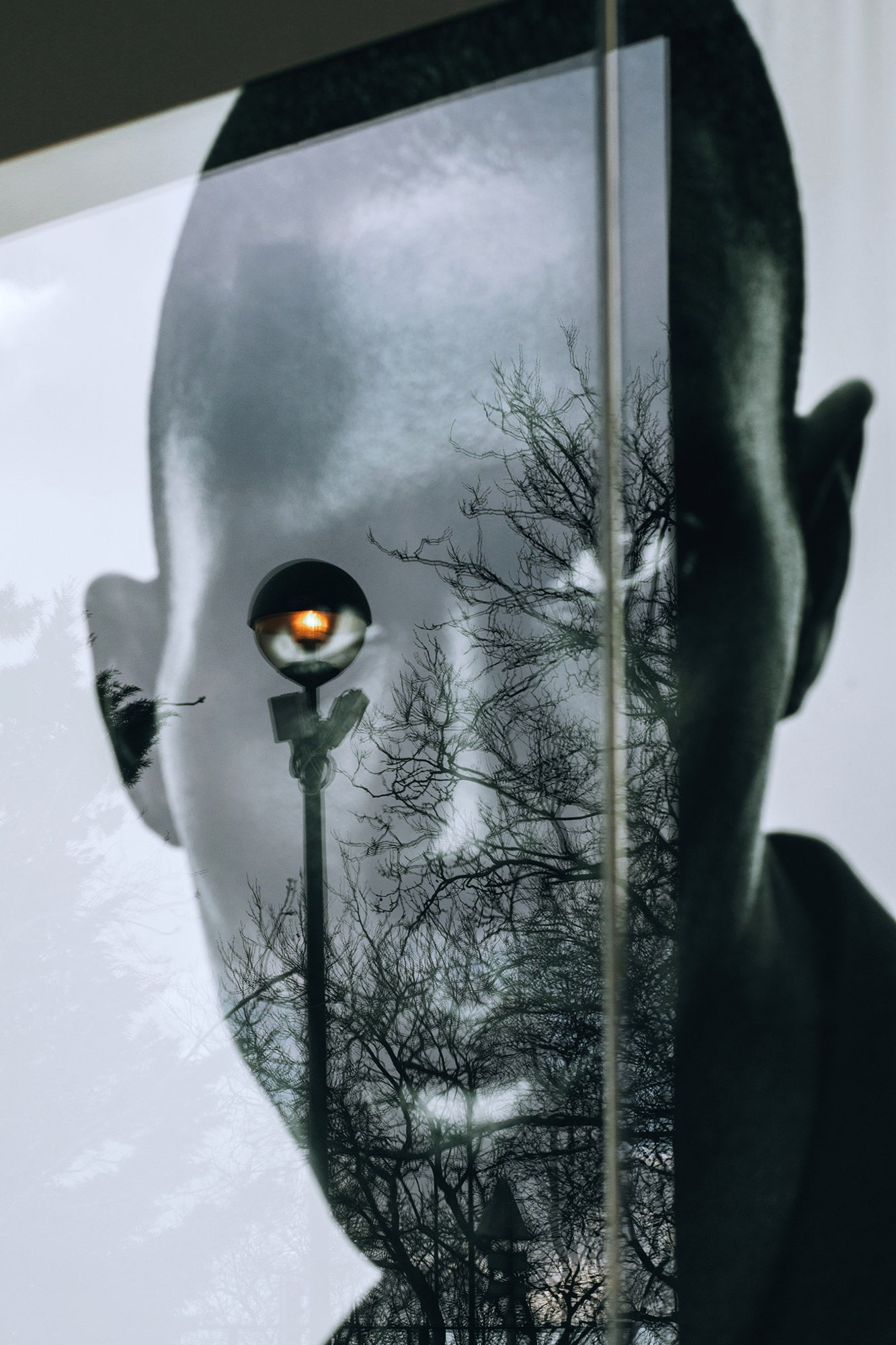 Reflective portrait layered with bare trees and a glowing streetlamp.
Reflective portrait layered with bare trees and a glowing streetlamp.